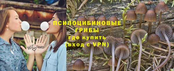 стафф Абдулино